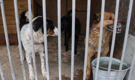 Mero apsilankymas "Nuare"