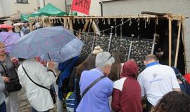 Klaipėdos gimtadienio šventė: riterių kovos