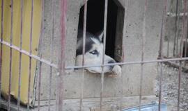 Mero apsilankymas "Nuare"