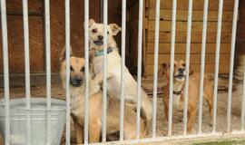 Mero apsilankymas "Nuare"