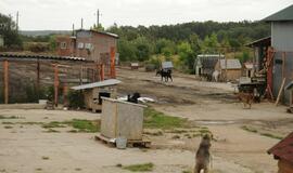 Mero apsilankymas "Nuare"