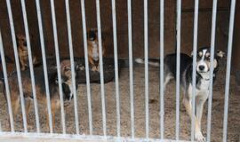 Mero apsilankymas "Nuare"