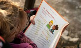 Karlsonas ar pokemonai