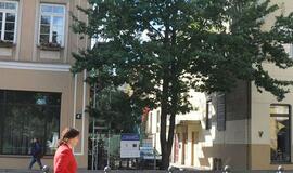 "Kuriame Lietuvos ateitį"