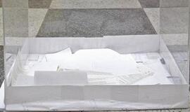 Liberalai, "tvarkiečiai" į Seimą nepatektų, auga Antikorupcinės koalicijos populiarumas