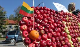 "Obuolių fiesta" Gargžduose