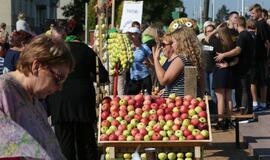 "Obuolių fiesta" Gargžduose