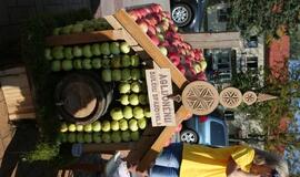 "Obuolių fiesta" Gargžduose