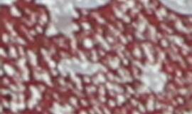 LFF taurės varžybos