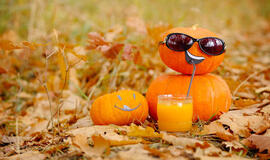 Rudens spalvų galia