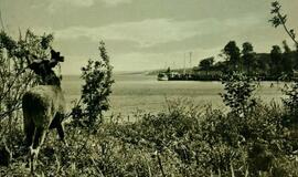 Apie Juodkrantę-Švarcortą ir Kopų gyventojų kilmę (3)