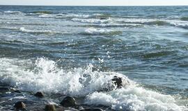 Atrado akmens amžiaus žvejybos įrenginio liekanas