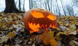 Moliūgų šventė Švėkšnoje