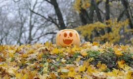 Moliūgų šventė Švėkšnoje