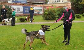 Bėgimas su šunimis Klaipėdoje