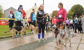 Bėgimas su šunimis Klaipėdoje