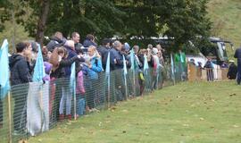 "Gintarinė jūrmylė 2016"