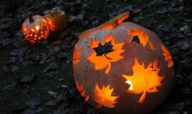 Moliūgų šventė Švėkšnoje