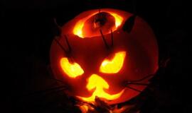 Moliūgų šventė Klaipėdoje