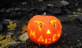 Moliūgų šventė Švėkšnoje