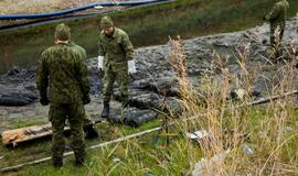 Išminavimo darbai prie delfinariumo