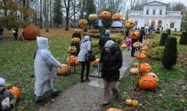 Moliūgų šventė Švėkšnoje