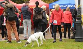 Bėgimas su šunimis Klaipėdoje