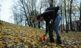 Moliūgų šventė Švėkšnoje