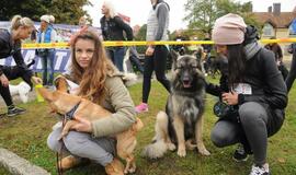 Bėgimas su šunimis Klaipėdoje