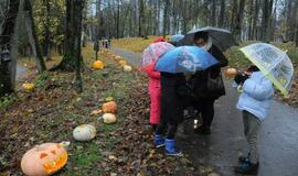 Moliūgų šventė Švėkšnoje