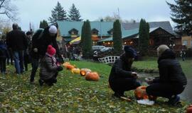 Moliūgų šventė Švėkšnoje