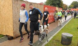 Bėgimas su šunimis Klaipėdoje