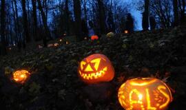 Moliūgų šventė Švėkšnoje