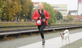 Bėgimas su šunimis Klaipėdoje