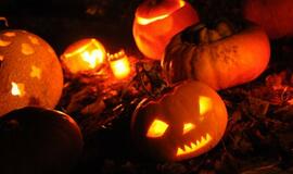 Moliūgų šventė Klaipėdoje