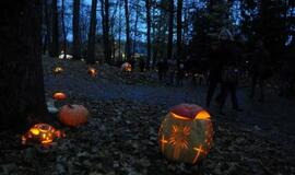 Moliūgų šventė Švėkšnoje