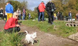 "Švari Dangė" 2016