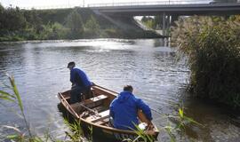 "Švari Dangė" 2016