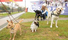 Bėgimas su šunimis Klaipėdoje