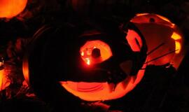 Moliūgų šventė Klaipėdoje