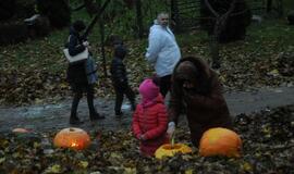 Moliūgų šventė Švėkšnoje