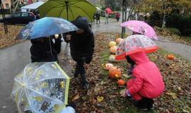 Moliūgų šventė Švėkšnoje