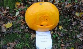 Moliūgų šventė Švėkšnoje