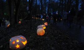 Moliūgų šventė Švėkšnoje