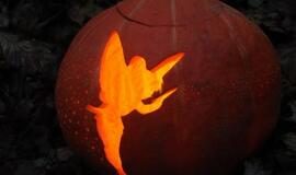 Moliūgų šventė Švėkšnoje