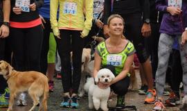 Bėgimas su šunimis Klaipėdoje