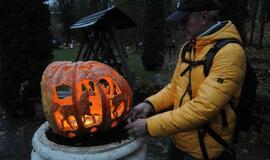 Moliūgų šventė Švėkšnoje