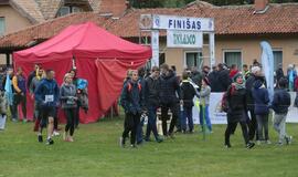 "Gintarinė jūrmylė 2016"