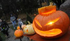 Moliūgų šventė Švėkšnoje