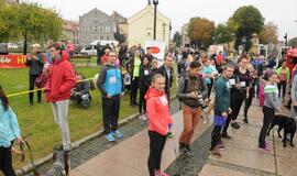 Bėgimas su šunimis Klaipėdoje